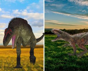 Tyrannotitan Vs Carcharodontosaurus Cretaceous Carnivores