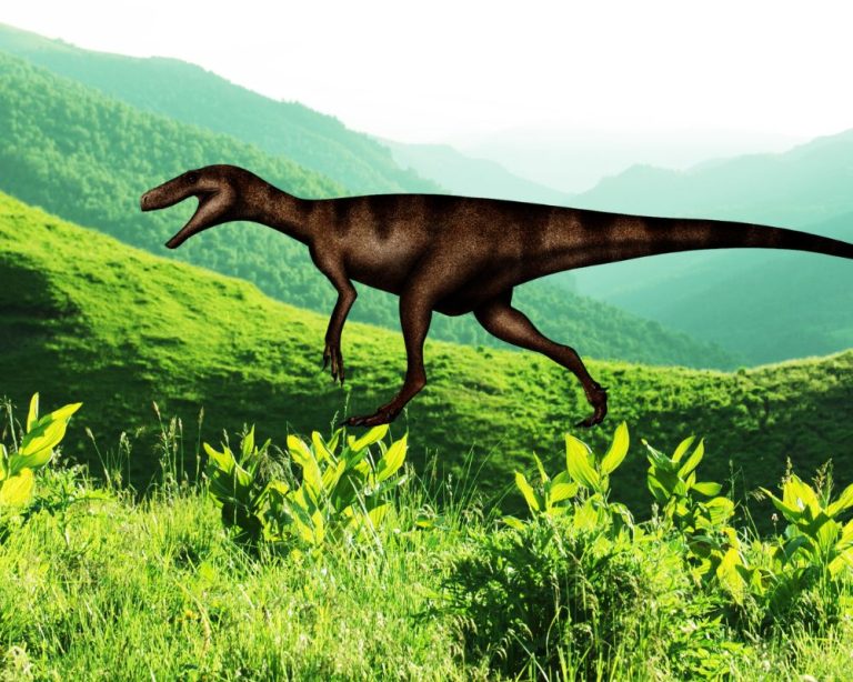 Meet The Ranchers Herrerasaurus Dino Digest 