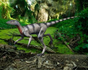 Uncovering The Saltopus, A Surprisingly Common Dino