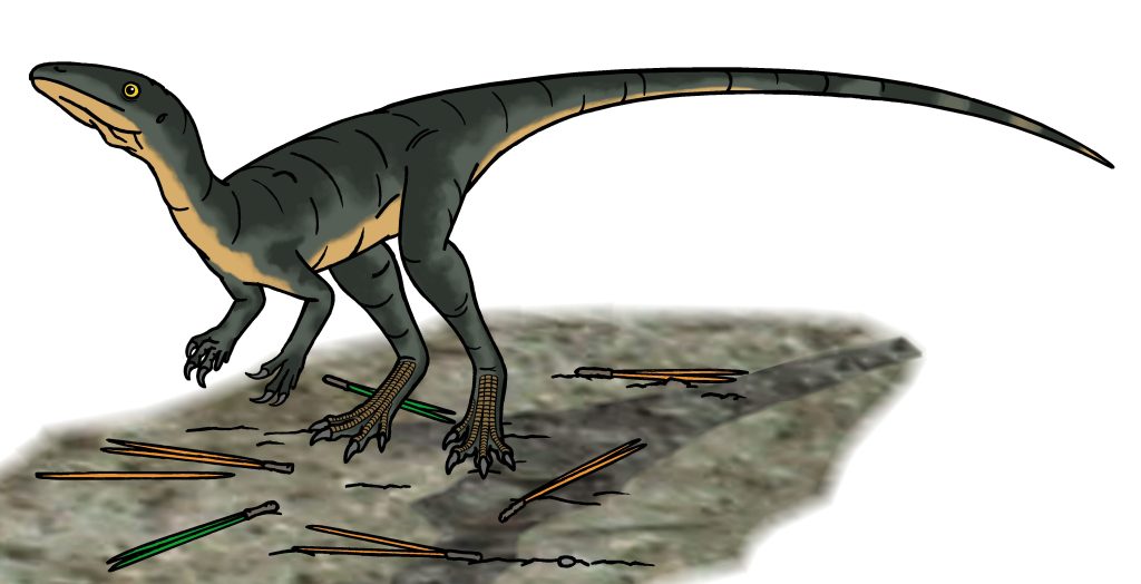 Uncovering The Saltopus, A Surprisingly Common Dino Dino Digest