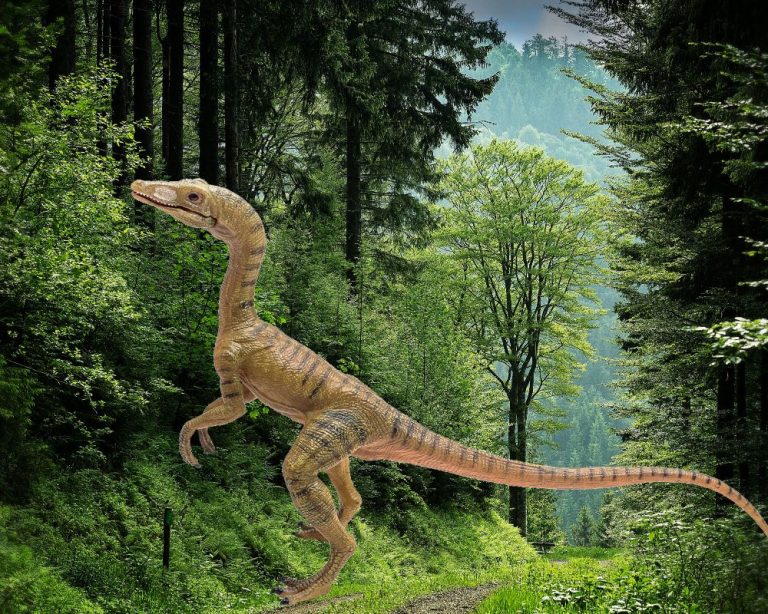 Meet A Tiny Jurassic Dino, The Compsognathus | Dino Digest