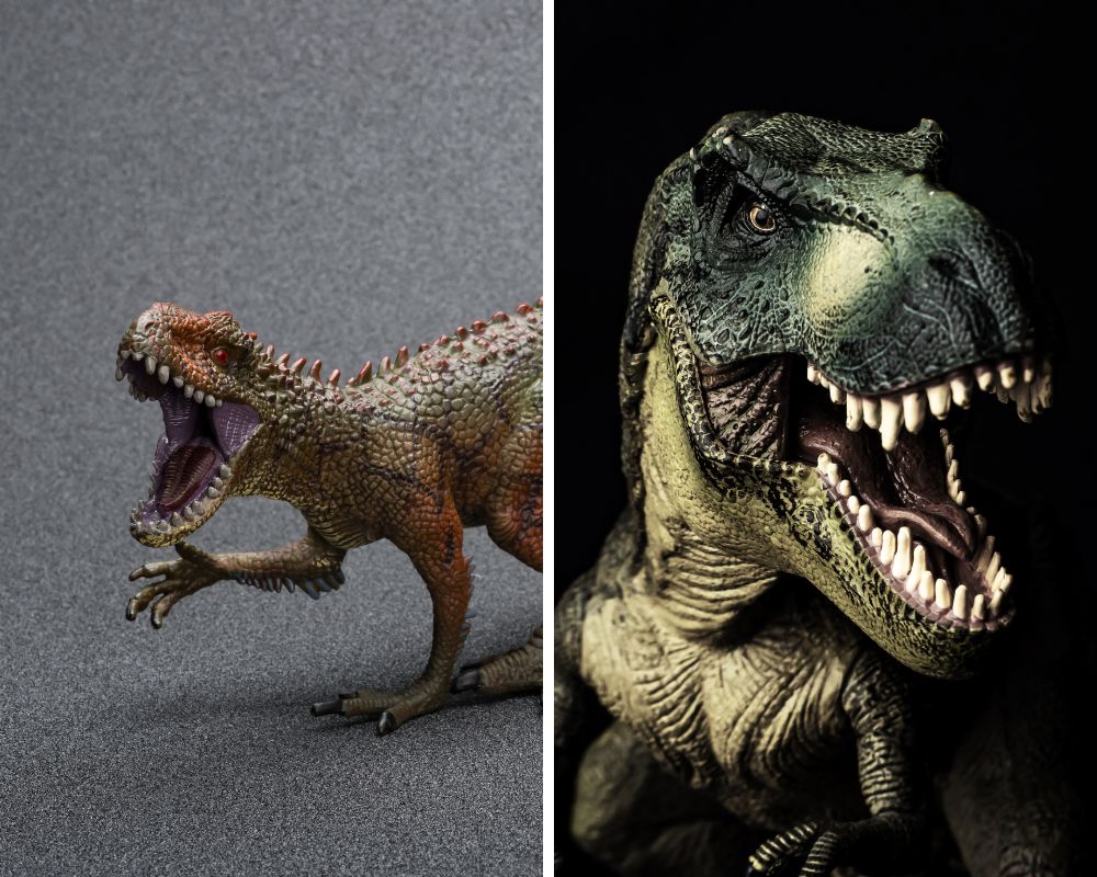 Carcharodontosaurus an a T. rex