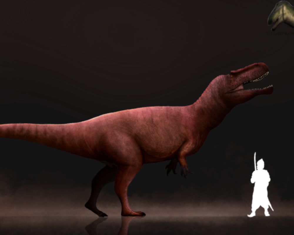 Torvosaurus compared to s human
