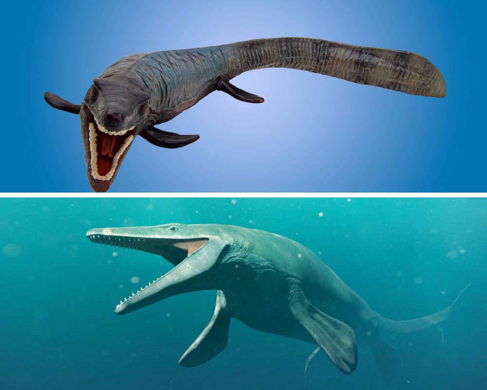 Check Out The Tylosaurus, A Marine Reptile | Dino Digest