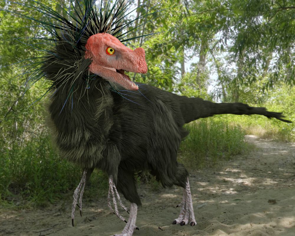 Ornitholestes - possible appearance