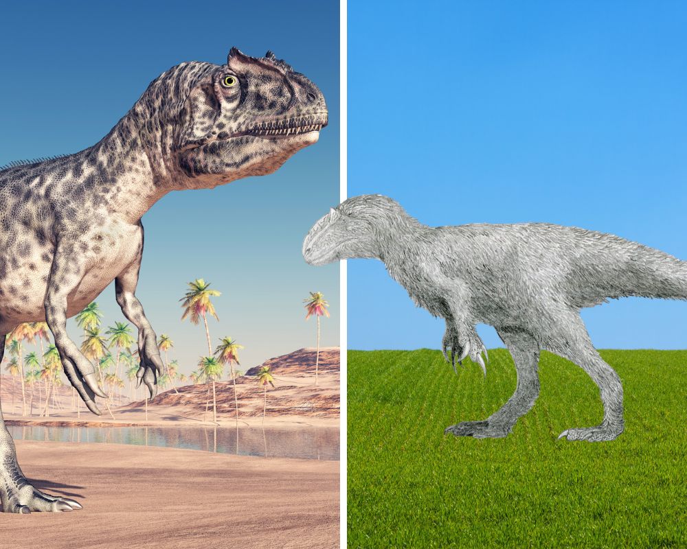 Allosaurus vs. Yutyrannus