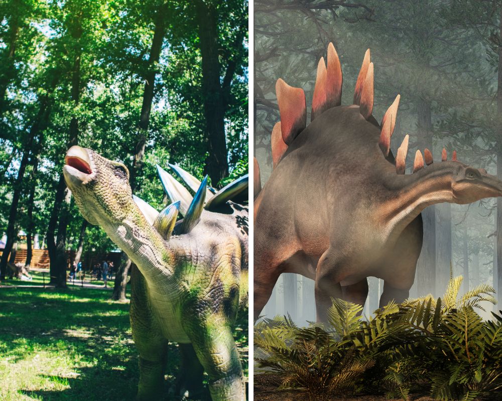Kentrosaurus and a Stegosaurus