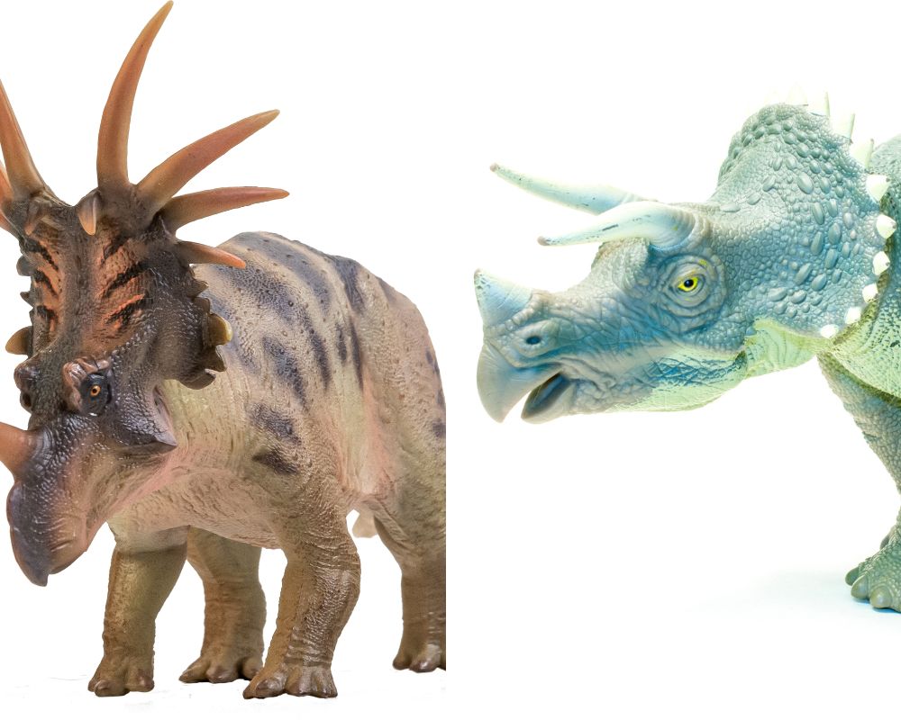 Styracosaurus and Triceratops
