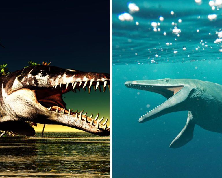 Liopleurodon Vs. Mosasaurus: Underwater Predators