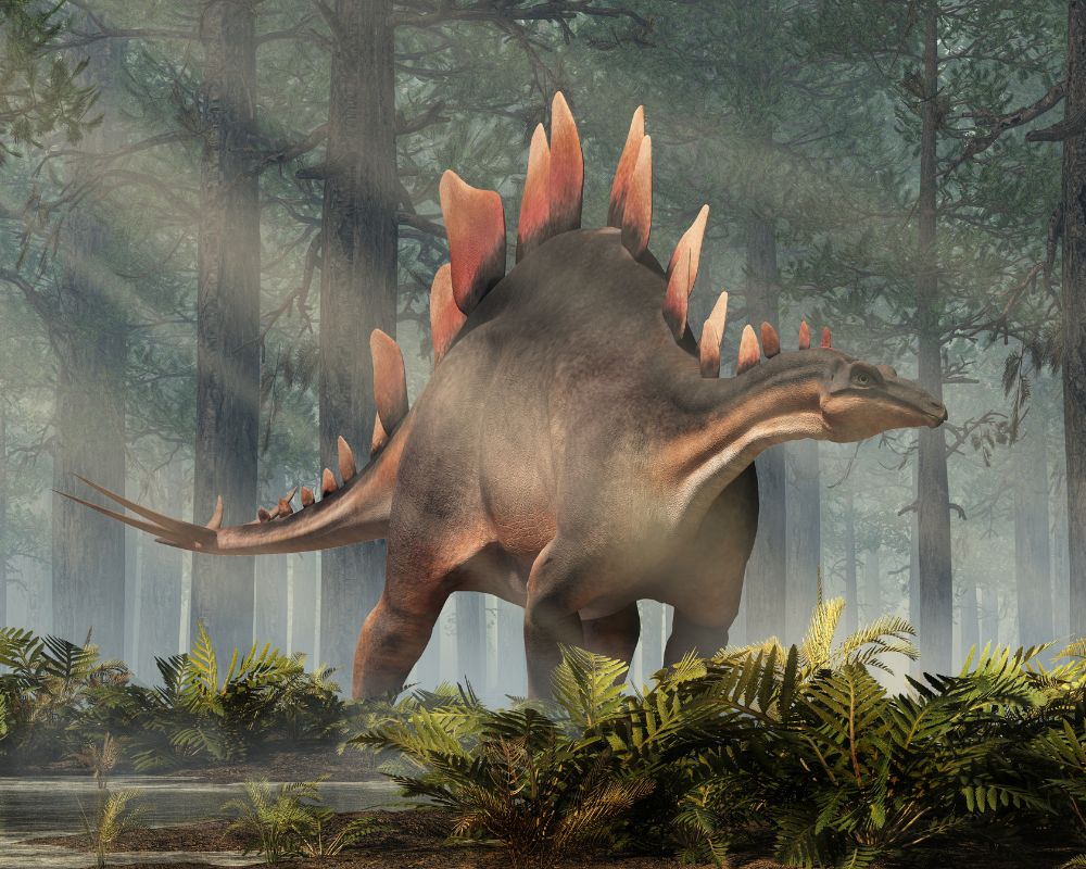Ceratosaurus vs t rex