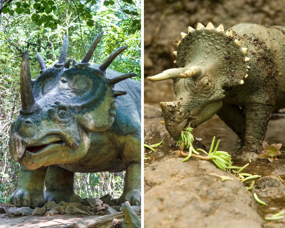 Styracosaurus vs. Triceratops
