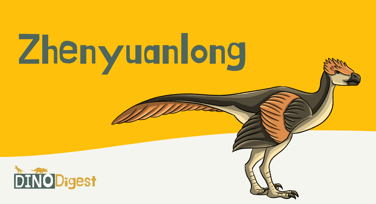 Discover The Zhenyuanlong In China! | Dino Digest