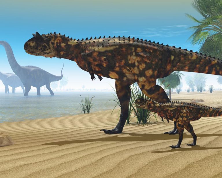 Carnotaurus, The Carnivore With Horns