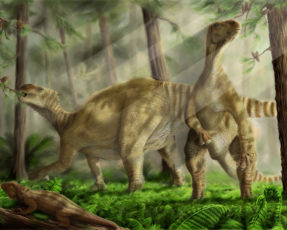 Iguanodon in a forest