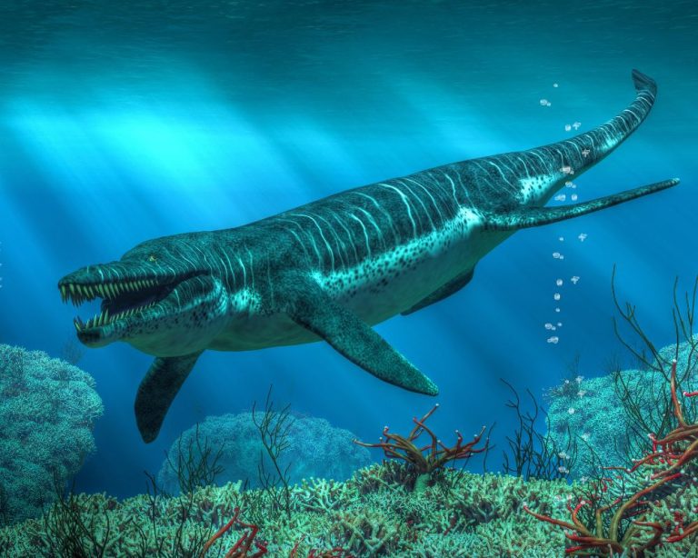 Kronosaurus Vs. Liopleurodon: Can Lio Win? | Dino Digest