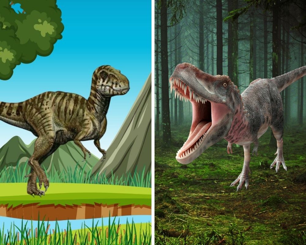 Siamotyrannus vs. Tarbosaurus