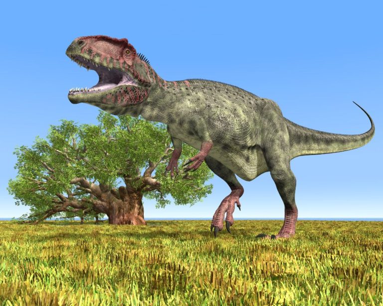 Giganotosaurus: The Largest Sauropod In South America