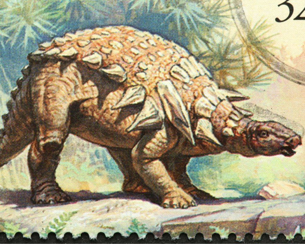 Edmontonia