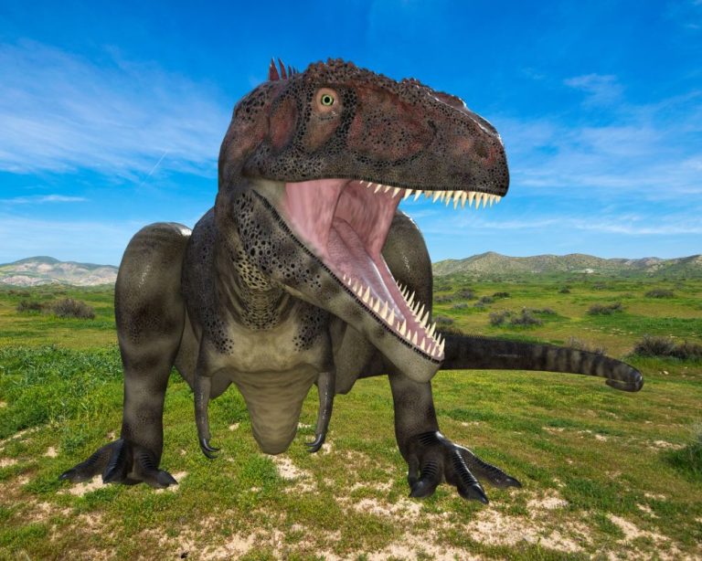Giganotosaurus: The Largest Sauropod In South America