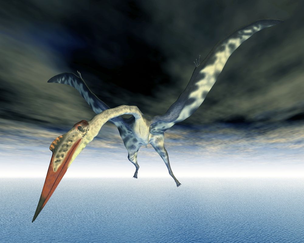 Quetzalcoatlus in the sky