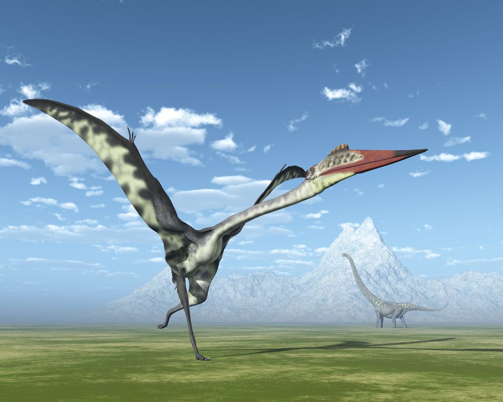 Quetzalcoatlus landing